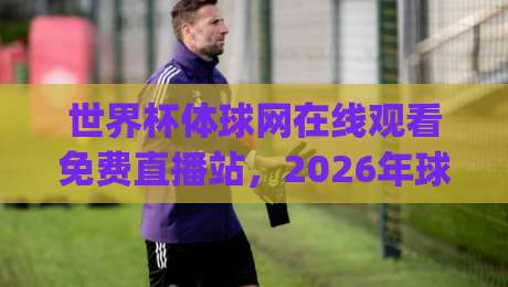 世界杯体球网在线观看免费直播站，2026年球迷的观赛新选择(世界杯体球网在线观看免费直播站)