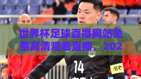世界杯足球直播网站免费高清观看直播，2026年免费高清观赛渠道大揭秘