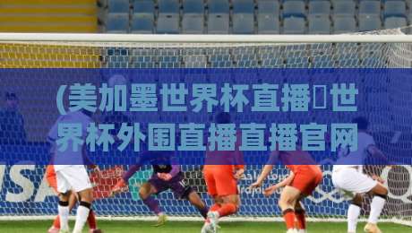 (美加墨世界杯直播∬世界杯外围直播直播官网观看入口)：2026年最全观赛指南，别再说找不到路了！