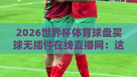 2026世界杯体育球盘买球无插件在线直播网:这届球迷的观赛新姿势