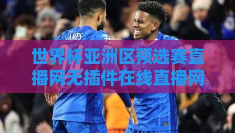 世界杯亚洲区预选赛直播网无插件在线直播网,2026年亚洲区激战正酣!