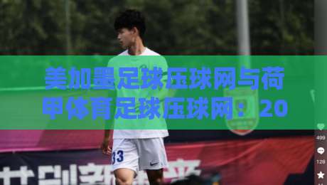 美加墨足球压球网与荷甲体育足球压球网：2026年全面对比与选网指南