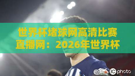 世界杯堵球网高清比赛直播网：2026年世界杯，你该去哪儿看球？