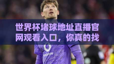 世界杯堵球地址直播官网观看入口，你真的找对了吗？