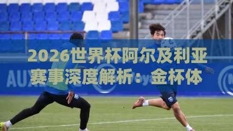 2026世界杯阿尔及利亚赛事深度解析：金杯体育足球站独家报道