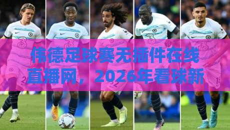 伟德足球赛无插件在线直播网，2026年看球新体验！（伟德足球赛无插件在线直播网）告别卡顿与插件烦恼