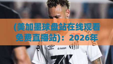 (美加墨球盘站在线观看免费直播站)：2026年实测避坑与首选平台全解析