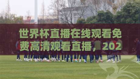 世界杯直播在线观看免费高清观看直播,2026年球迷必须收藏的5个途径!