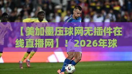 【美加墨压球网无插件在线直播网】！2026年球迷必看的观赛新姿势