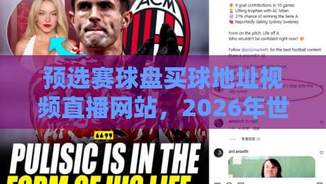 预选赛球盘买球地址视频直播网站，2026年世界杯预选赛观赛必备指南！