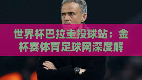 世界杯巴拉圭投球站：金杯赛体育足球网深度解析2026南美预选