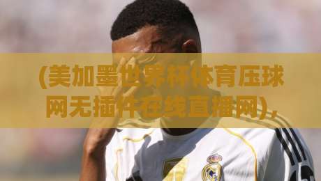 (美加墨世界杯体育压球网无插件在线直播网)，2026球迷必备的观赛指南