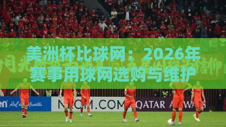 美洲杯比球网：2026年赛事用球网选购与维护指南