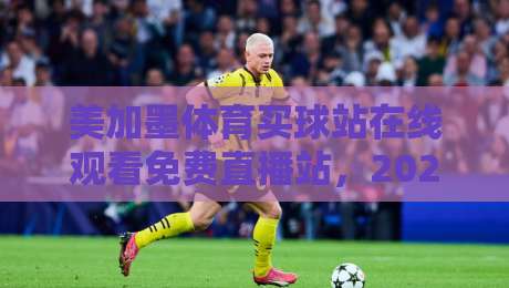 美加墨体育买球站在线观看免费直播站，2026年球迷的终极观赛指南