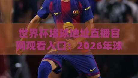 世界杯堵球地址直播官网观看入口：2026年球迷必知的合法观赛通道