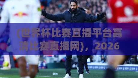 (世界杯比赛直播平台高清比赛直播网)，2026年观赛老司机私藏攻略
