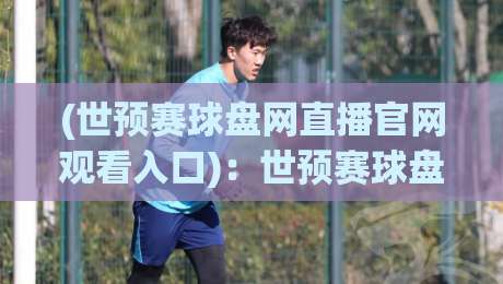 (世预赛球盘网直播官网观看入口)：世预赛球盘网直播官网观看入口，2026年最新观赛攻略来啦