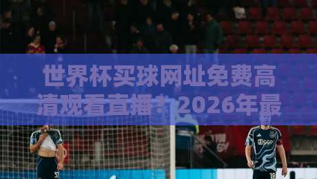 世界杯买球网址免费高清观看直播？2026年最全避坑指南与正版渠道推荐