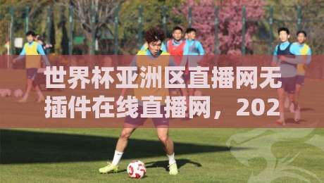 世界杯亚洲区直播网无插件在线直播网，2026亚洲球队观赛神器（世界杯亚洲区直播网）