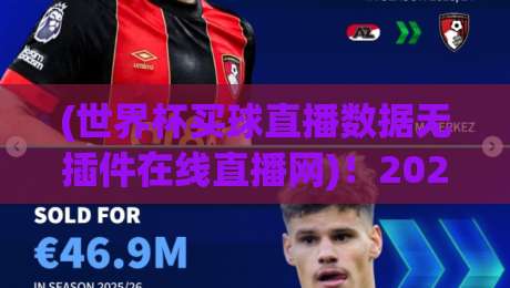 (世界杯买球直播数据无插件在线直播网)!2026年球迷必备的【世界杯买球直播数据无插件在线直播网】观赛指南
