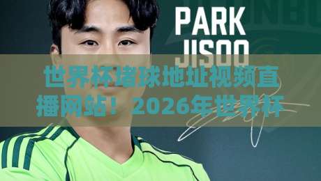 世界杯堵球地址视频直播网站！2026年世界杯安全观赛指南