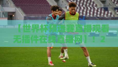 【世界杯预选赛直播观看无插件在线直播网】！2026世预赛终极观赛指南，让你告别卡顿烦恼
