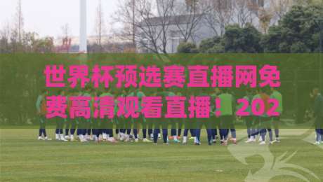 世界杯预选赛直播网免费高清观看直播！2026年观赛新姿势，你get了吗？