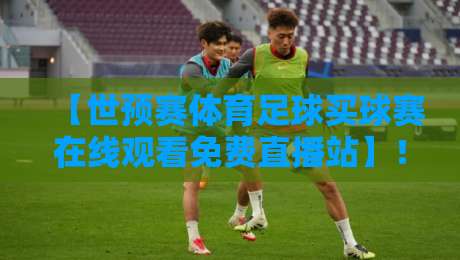 【世预赛体育足球买球赛在线观看免费直播站】！2026年球迷必备观看指南与注意事项
