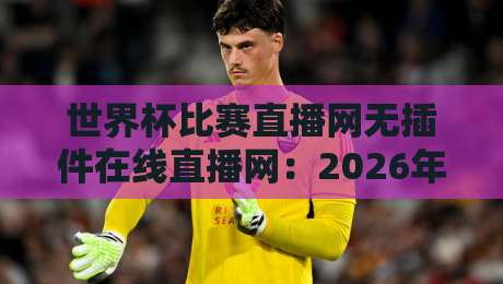 世界杯比赛直播网无插件在线直播网：2026年世界杯观赛新选择，这5个无插件高清平台值得一试（世界杯比赛直播网）