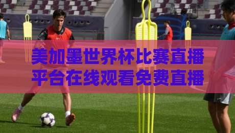 美加墨世界杯比赛直播平台在线观看免费直播站，2026年看球还得是这儿！