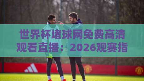 世界杯堵球网免费高清观看直播:2026观赛指南与避坑提醒