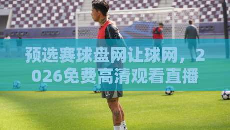 预选赛球盘网让球网，2026免费高清观看直播的正确打开方式