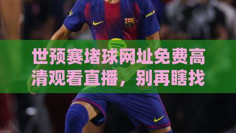 世预赛堵球网址免费高清观看直播,别再瞎找了,这份实测指南帮你省心!【世预赛堵球网址免费高清观看直播】