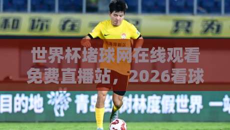 世界杯堵球网在线观看免费直播站,2026看球别乱点!