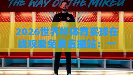 2026世界杯体育买球在线观看免费直播站:一场球迷的狂欢盛宴