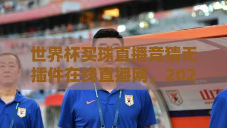 世界杯买球直播竞猜无插件在线直播网，2026年球迷必备的观赛与互动平台