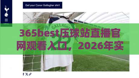 365best压球站直播官网观看入口,2026年实测体验与避坑指南