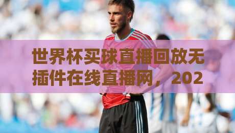 世界杯买球直播回放无插件在线直播网,2026看球就该这么爽?