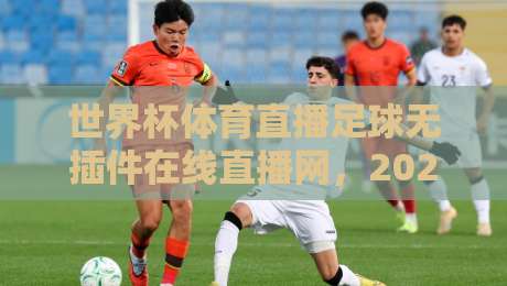 世界杯体育直播足球无插件在线直播网,2026看球新姿势?