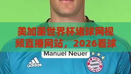 美加墨世界杯堵球网视频直播网站,2026看球别乱点!实测靠谱平台与避坑指南