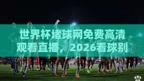 世界杯堵球网免费高清观看直播，2026看球别走弯路！