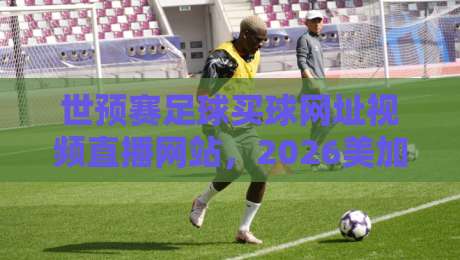 世预赛足球买球网址视频直播网站,2026美加墨征程怎么看最稳?