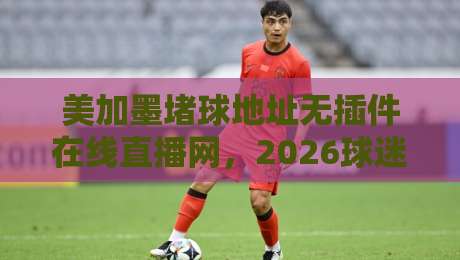美加墨堵球地址无插件在线直播网，2026球迷必备的免费观赛入口！