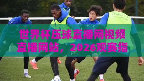 世界杯压球直播网视频直播网站,2026观赛指南与避坑手册