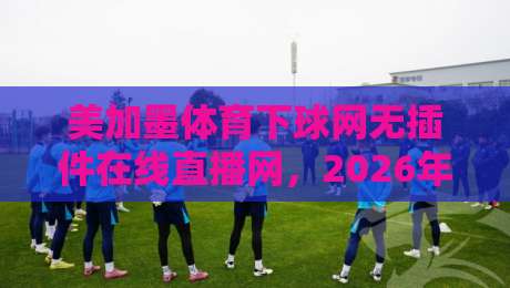 美加墨体育下球网无插件在线直播网，2026年看球就该这么干脆！