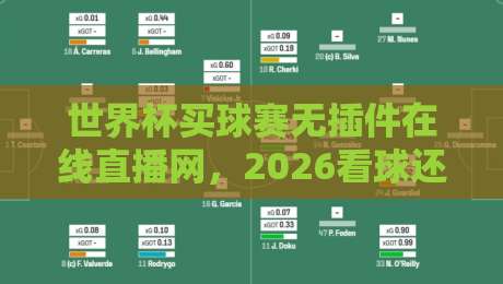世界杯买球赛无插件在线直播网，2026看球还得靠它？