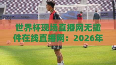 世界杯现场直播网无插件在线直播网：2026年观赛新姿势，高清不卡顿实测分享！