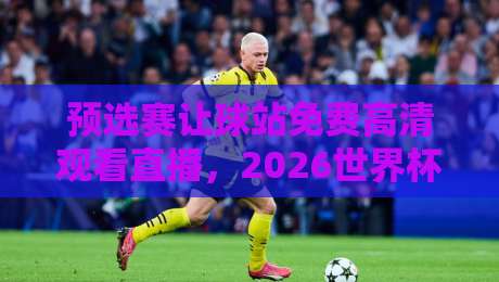 预选赛让球站免费高清观看直播，2026世界杯预选赛观赛指南