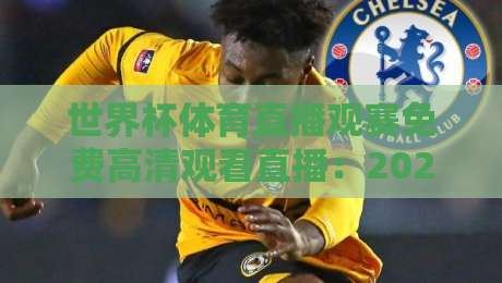 世界杯体育直播观赛免费高清观看直播:2026年球迷绝对不能错过的四大观赛攻略