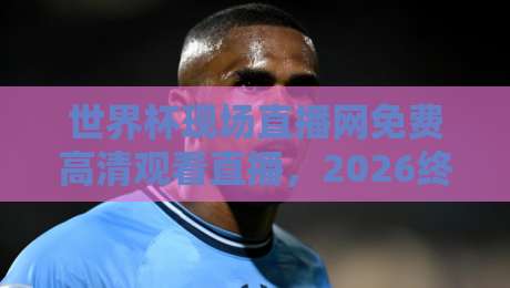 世界杯现场直播网免费高清观看直播,2026终极观赛指南:这些“隐藏玩法”你绝对想不到!